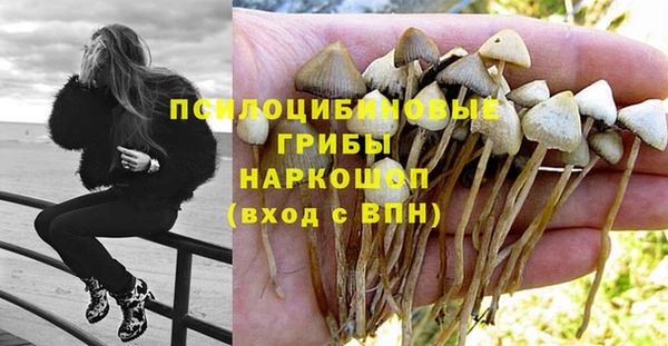 винт Баксан