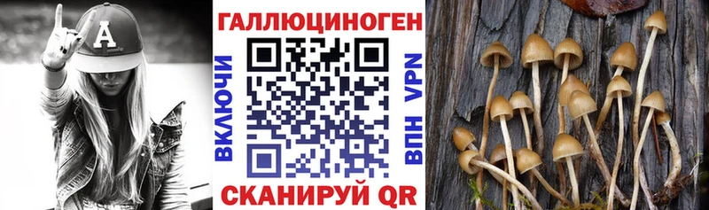 Псилоцибиновые грибы мицелий Юрьевец
